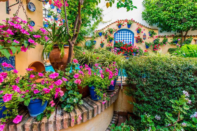 patios-cordoba-navidad