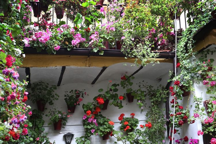 patios-cordoba-navidad-2-min