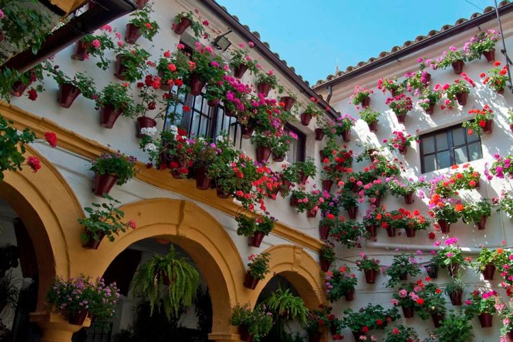 patios-cordoba-navidad-8-min