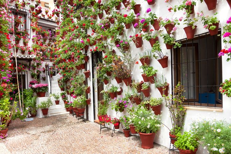 patios_cordoba_10