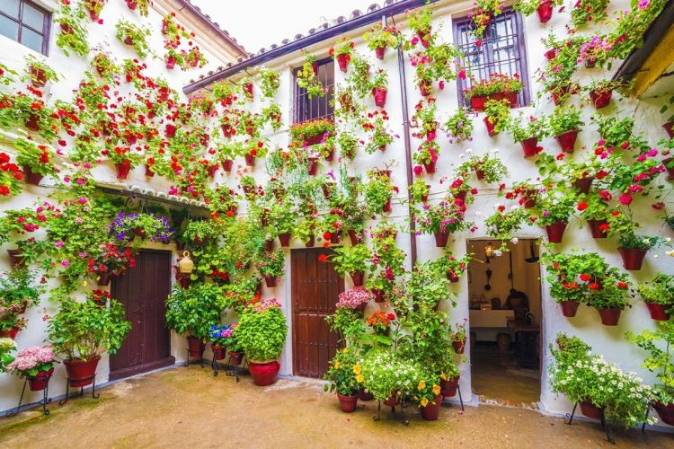 patios_cordoba_6