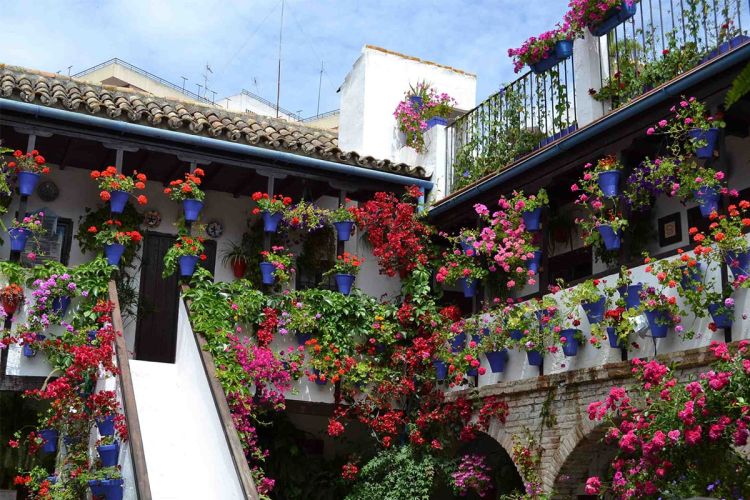 patios_cordoba_7