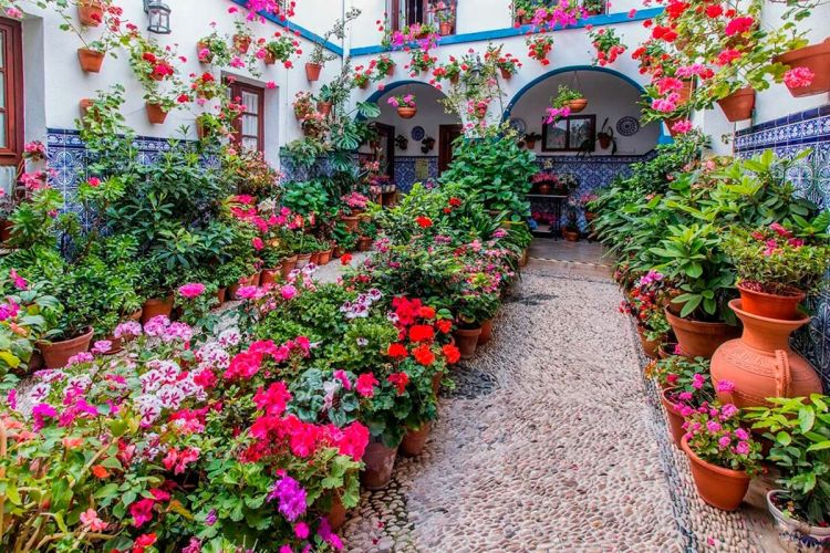 patios_cordoba_8