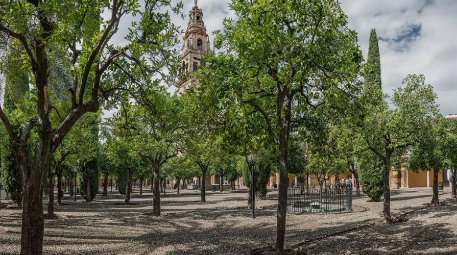 Mezquita de Córdoba 8