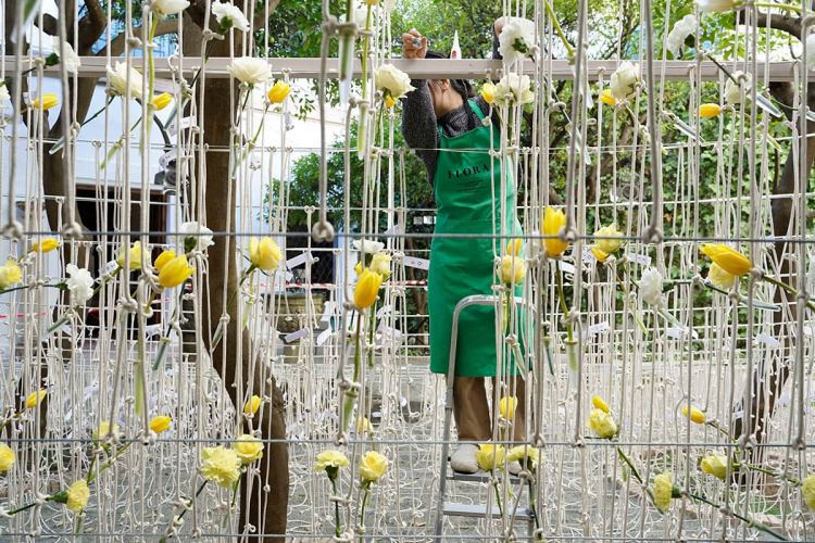 festival-flora-2022 (1)