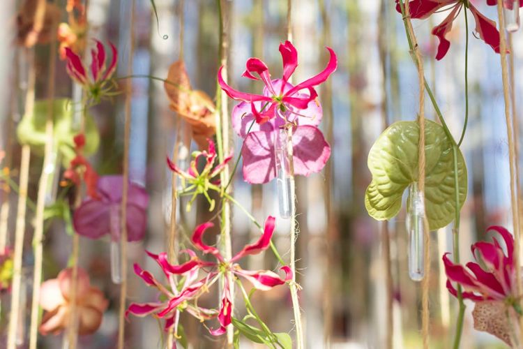 festival-flora-2022