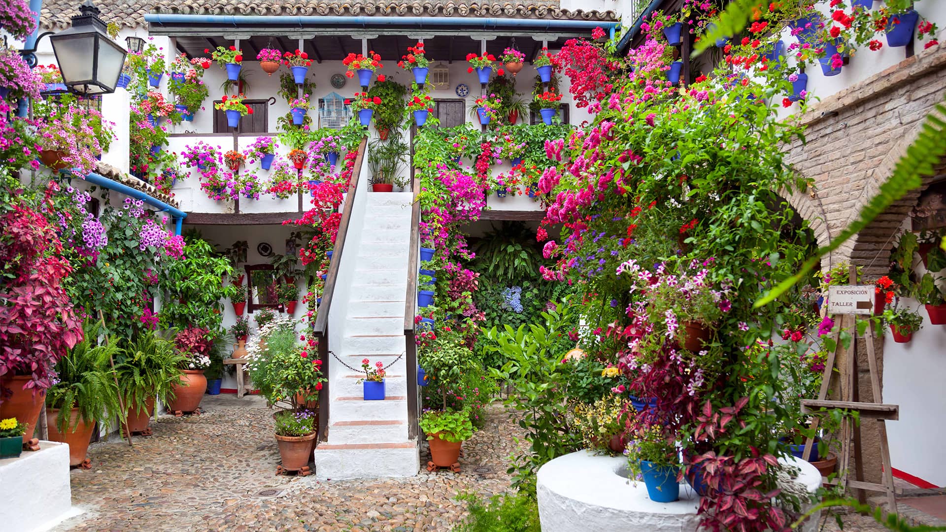 Fiesta de los Patios Cordobeses 2023 Días de visita, horarios, plano guía