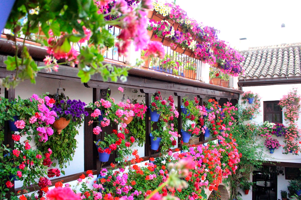 Fiesta de los Patios Cordobeses 2023 Días de visita, horarios, plano guía