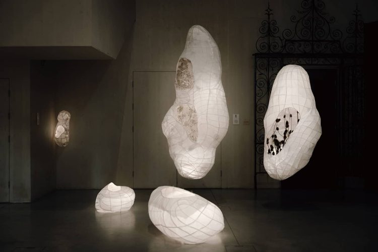 WinterFlowers_Husk_IndiaHobson_HR-5 copia